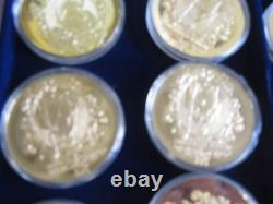 12 commemorative gold British Bank notes coins full set