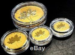 2013 Canada Gold Maple Leaf Fractional four coin set! Box and COA included