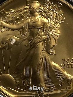 2016 W Walking Liberty 1/2 Oz. 24 Karat Gold Centennial Coin. Limited Mintage