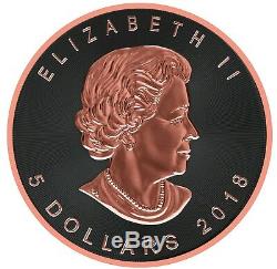 2018 1 Oz Silver ABEE METEORITE Atlas Of Meteorites Coin, 24K Rose Gold Gilded