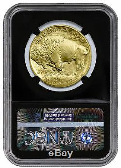 2018 1 oz Gold Buffalo $50 Coin NGC MS69 FDI Black Core Holder SKU50653