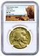 2020 1 Oz Gold American Buffalo $50 Coin Ngc Ms70 Er Buffalo Sku59628