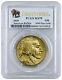 2020 1 Oz Gold American Buffalo $50 Coin Pcgs Ms70 Fs Buffalo Label Sku59640