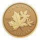 2023 $10 Everlasting Maple Leaf Pure Gold Coin Royal Canadian Mint