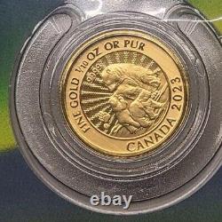 2023 Canada $5 The Majestic Polar Bear And Cubs 1/10 Ounce. 999 Gold Coin
