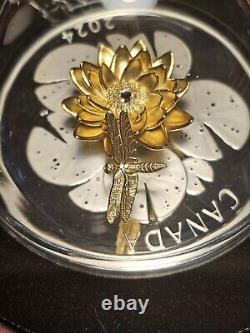 2024 Dragonfly and the Bloom Canadian Coin. Colors of Gold, Silver and Sparkles