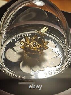 2024 Dragonfly and the Bloom Canadian Coin. Colors of Gold, Silver and Sparkles