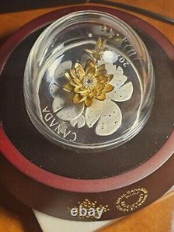 2024 Dragonfly and the Bloom Canadian Coin. Colors of Gold, Silver and Sparkles