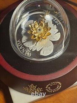 2024 Dragonfly and the Bloom Canadian Coin. Colors of Gold, Silver and Sparkles