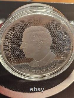 2024 Dragonfly and the Bloom Canadian Coin. Colors of Gold, Silver and Sparkles
