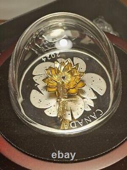 2024 Dragonfly and the Bloom Canadian Coin. Colors of Gold, Silver and Sparkles
