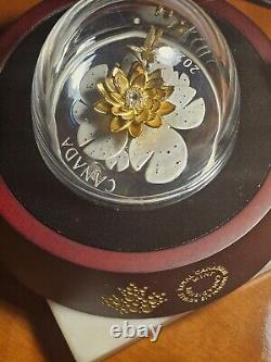 2024 Dragonfly and the Bloom Canadian Coin. Colors of Gold, Silver and Sparkles