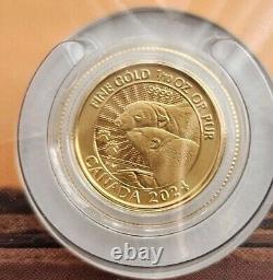 2024 The Majestic Polar Bears 1/10 Oz Gold Royal Canadian Mint, Stunning Coin