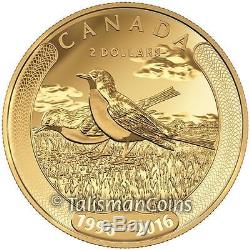 Canada 2016 Toonies 20th Ann. 4 Coin $2 Set Gold & Platinum w 40 Banknotes Uncut