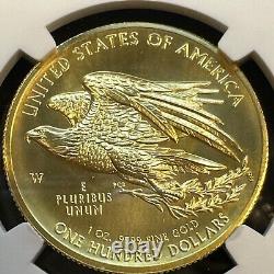 NGC MS69 2015-W $100 High Relief Liberty Gold Stunning & Lustrous Example